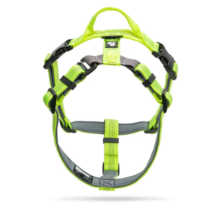 Truelove Pet Harness Adjustable Reflective Nylon with Collar Leash LED Light Neoprene Padded Hiking Running TLH6171 Dropshipping