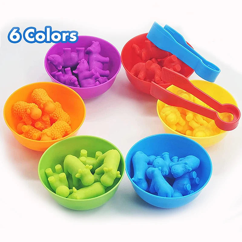6 Plastic Bowls with 2 Tweezers Rainbow Color Sorting Fine Motor Skill Learning Activities Toys Gift for Toddlers Kid