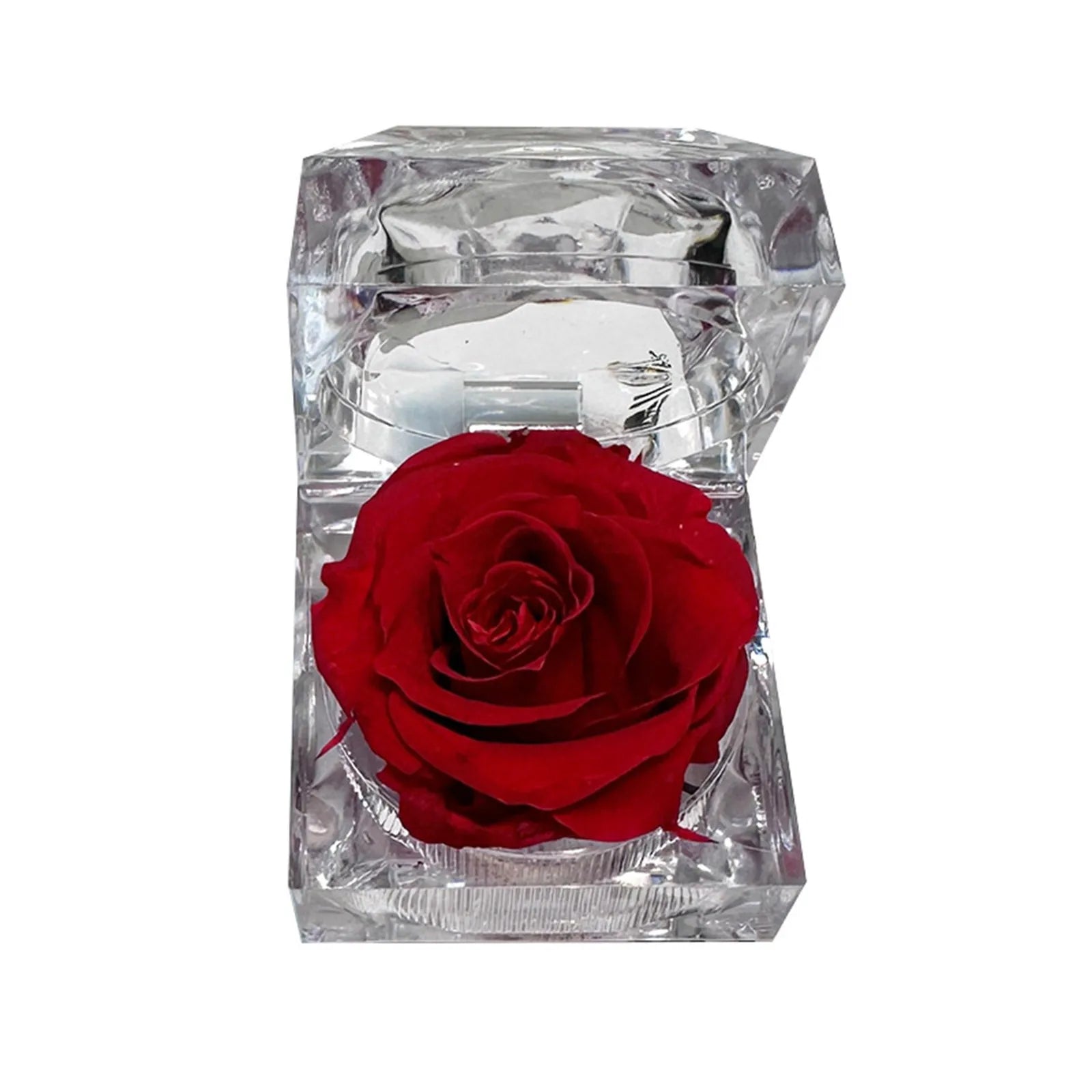 Preserved Rose In Crystal Box Realistic Flower Gift Valentine's Day Anniversary Romantic Decor Present Her Birthday Surprise