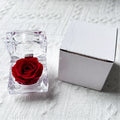 Preserved Rose In Crystal Box Realistic Flower Gift Valentine's Day Anniversary Romantic Decor Present Her Birthday Surprise