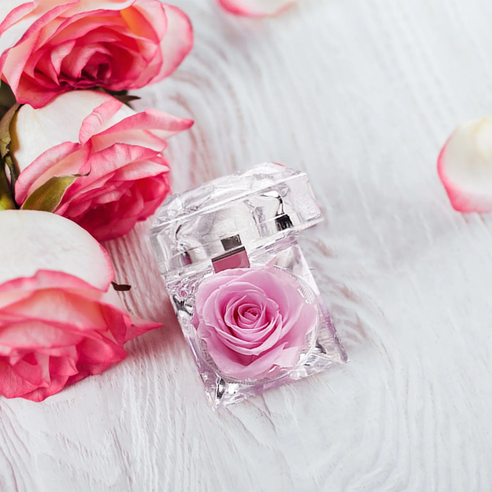 Preserved Rose In Crystal Box Realistic Flower Gift Valentine's Day Anniversary Romantic Decor Present Her Birthday Surprise