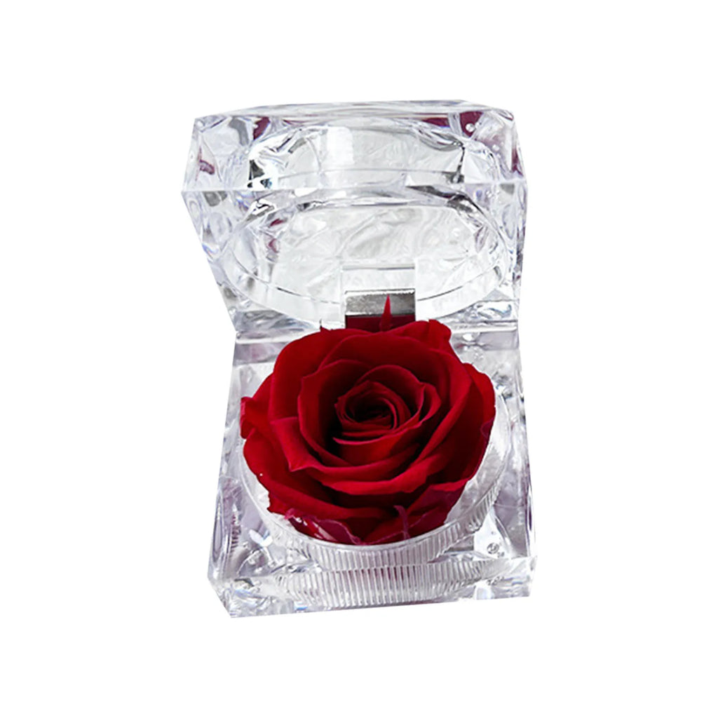 Preserved Rose In Crystal Box Realistic Flower Gift Valentine's Day Anniversary Romantic Decor Present Her Birthday Surprise