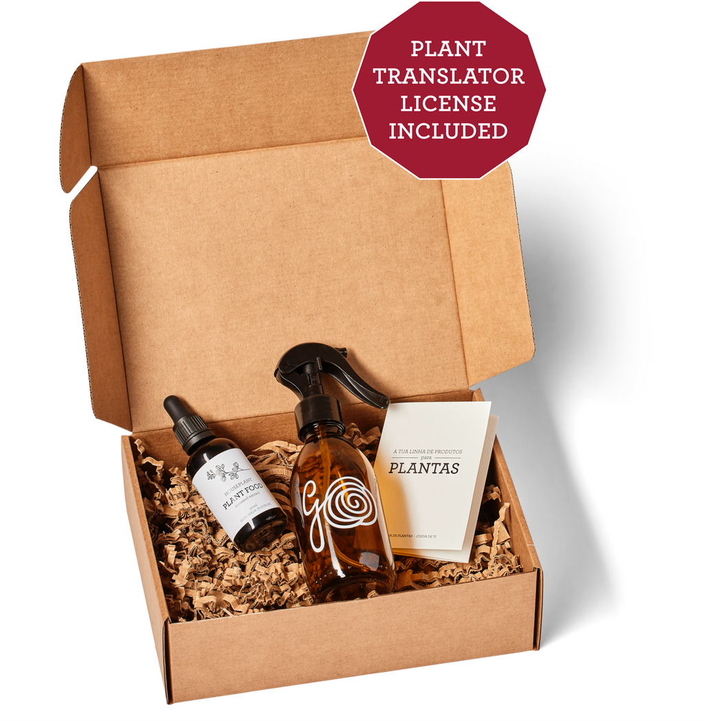 CHRISTMAS GIFTS FOR EMPLOYEES-4